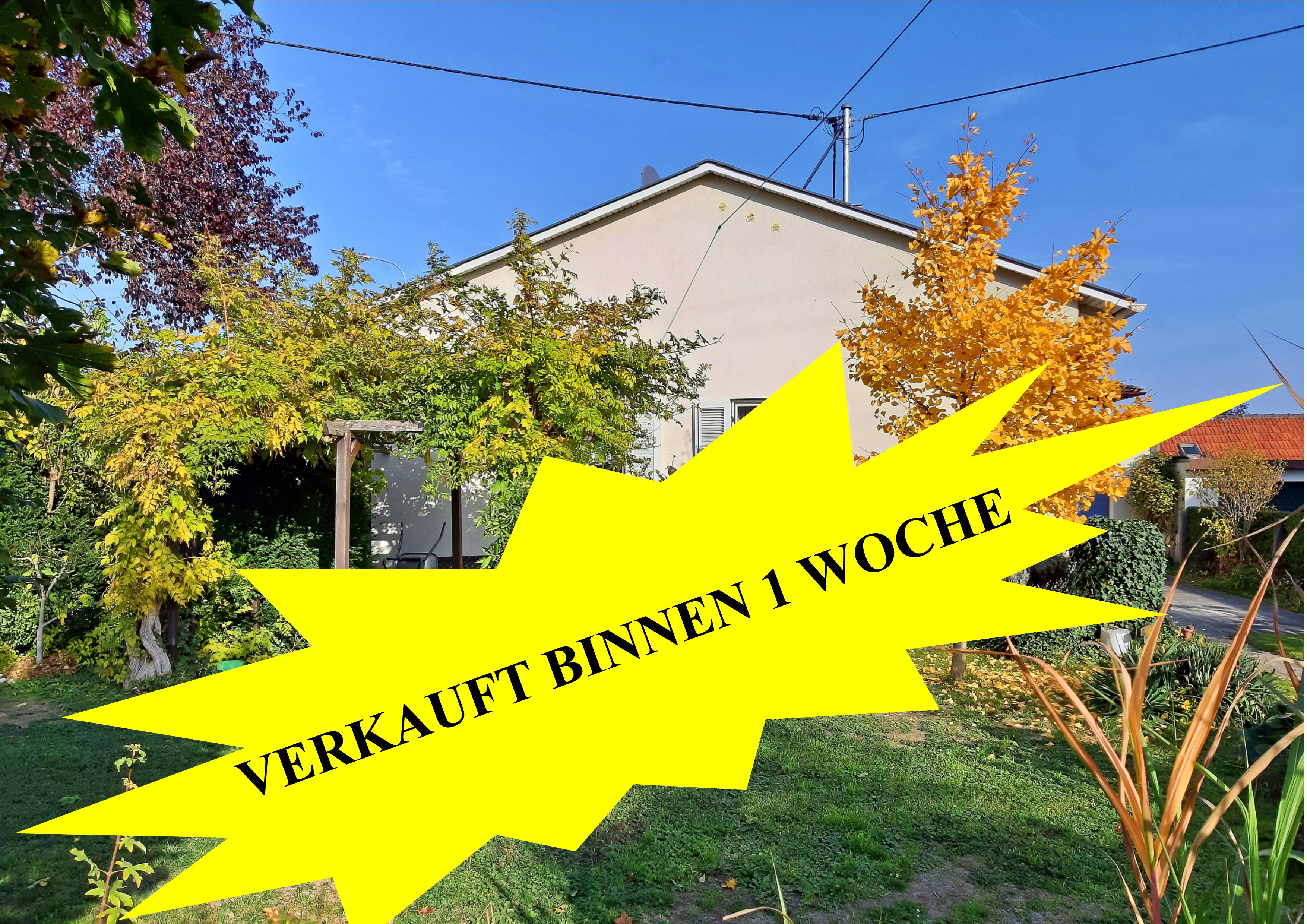 Gartenperspektiven des Wohnhauses