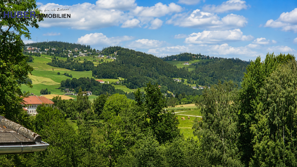 Blick nach Kirchschlag